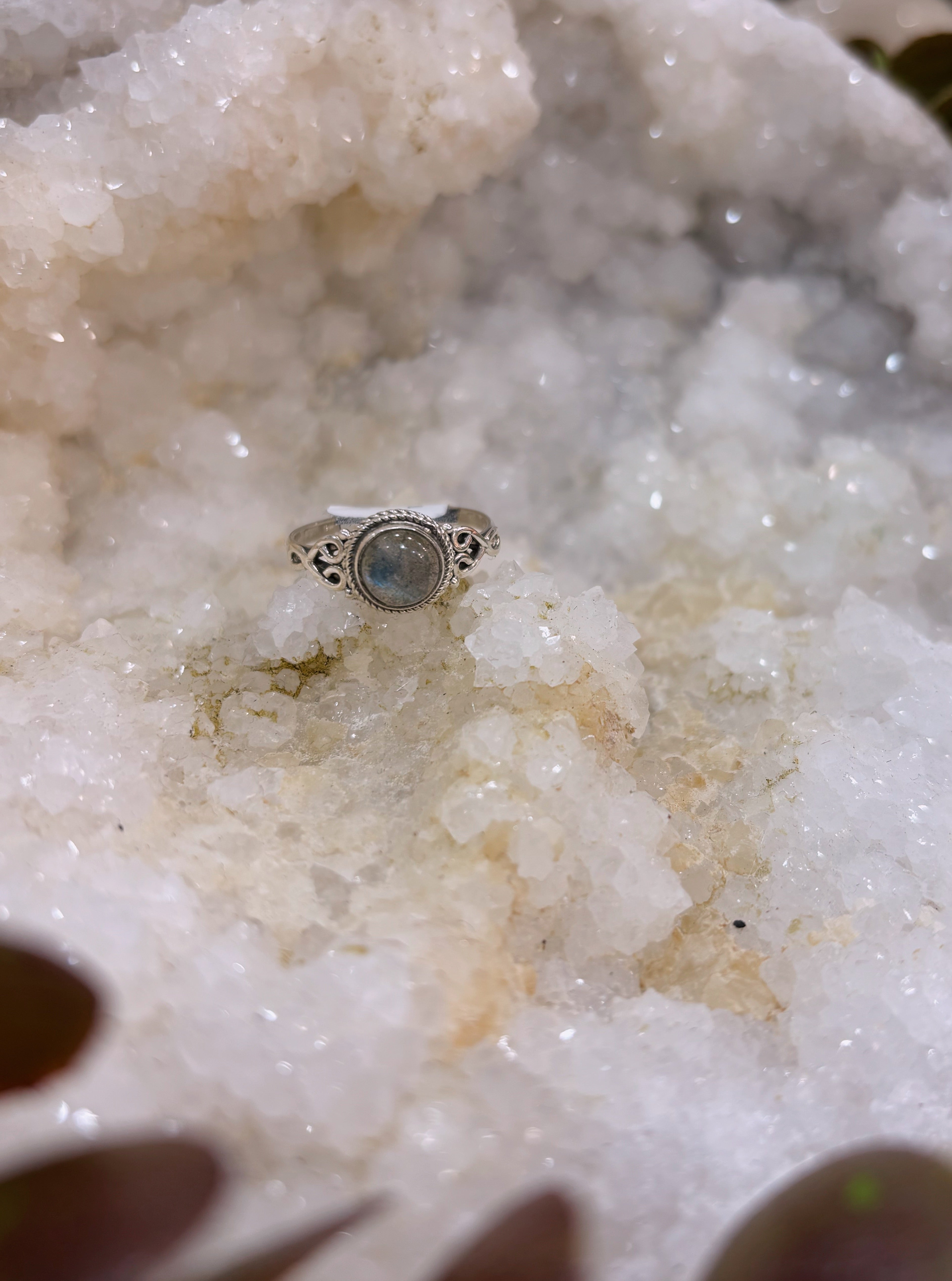 Anillo