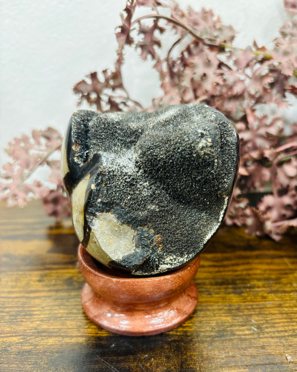 Huevo Septaria