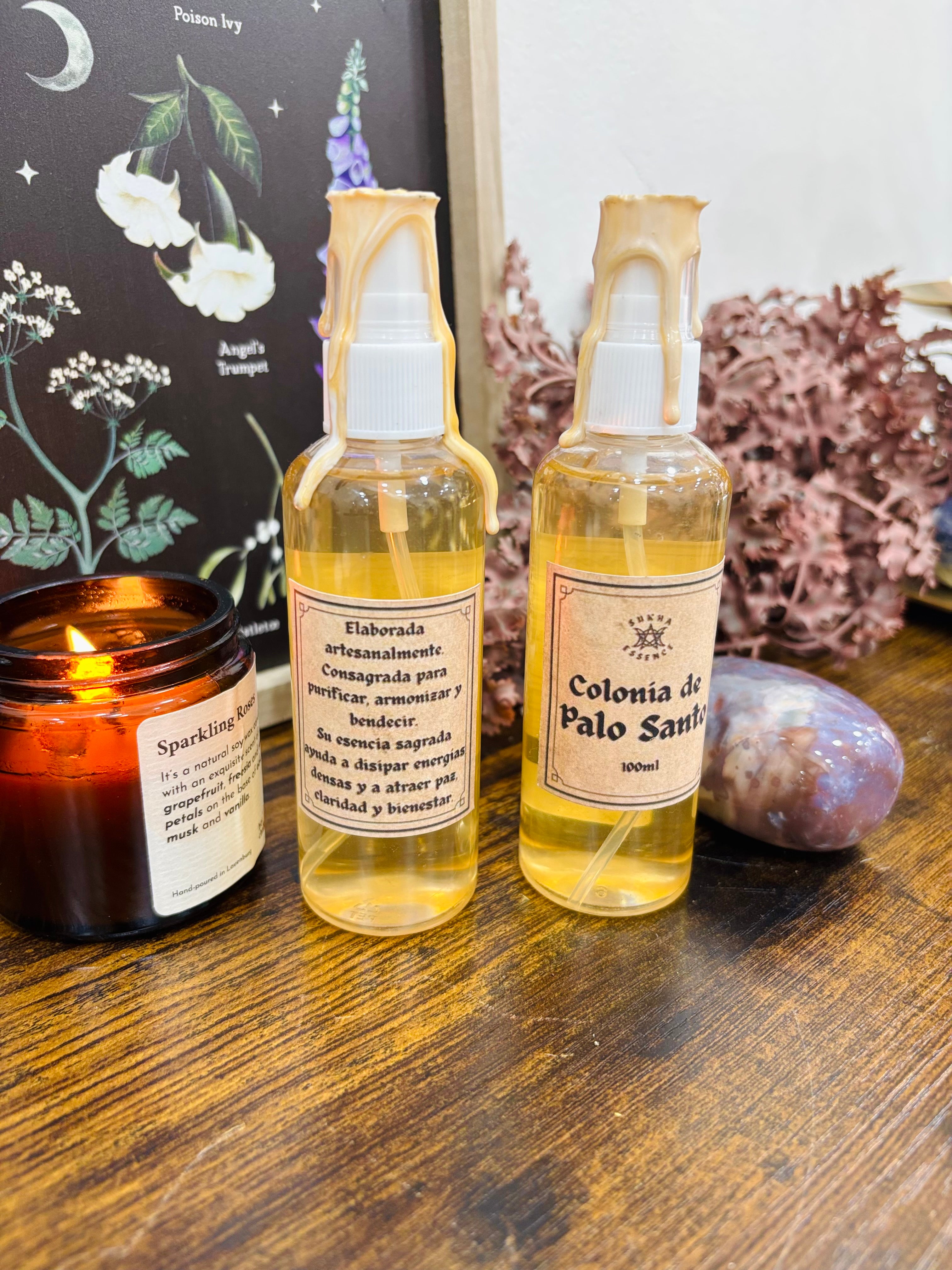 Colonia Palo Santo