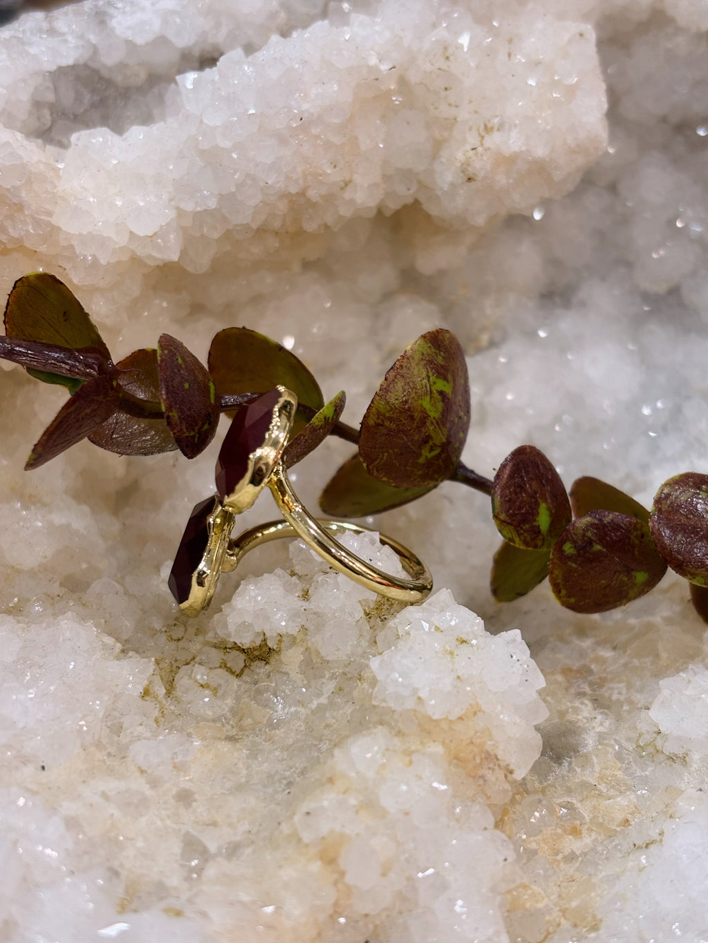 Anillo