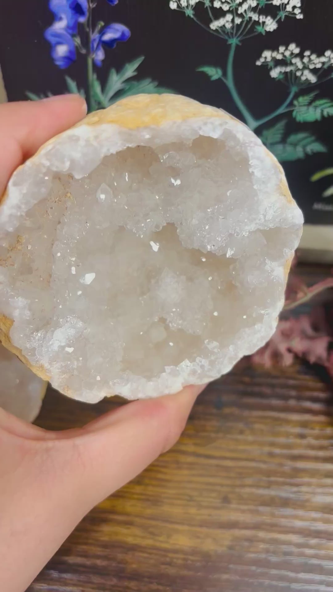 Geoda Grande Cuarzo