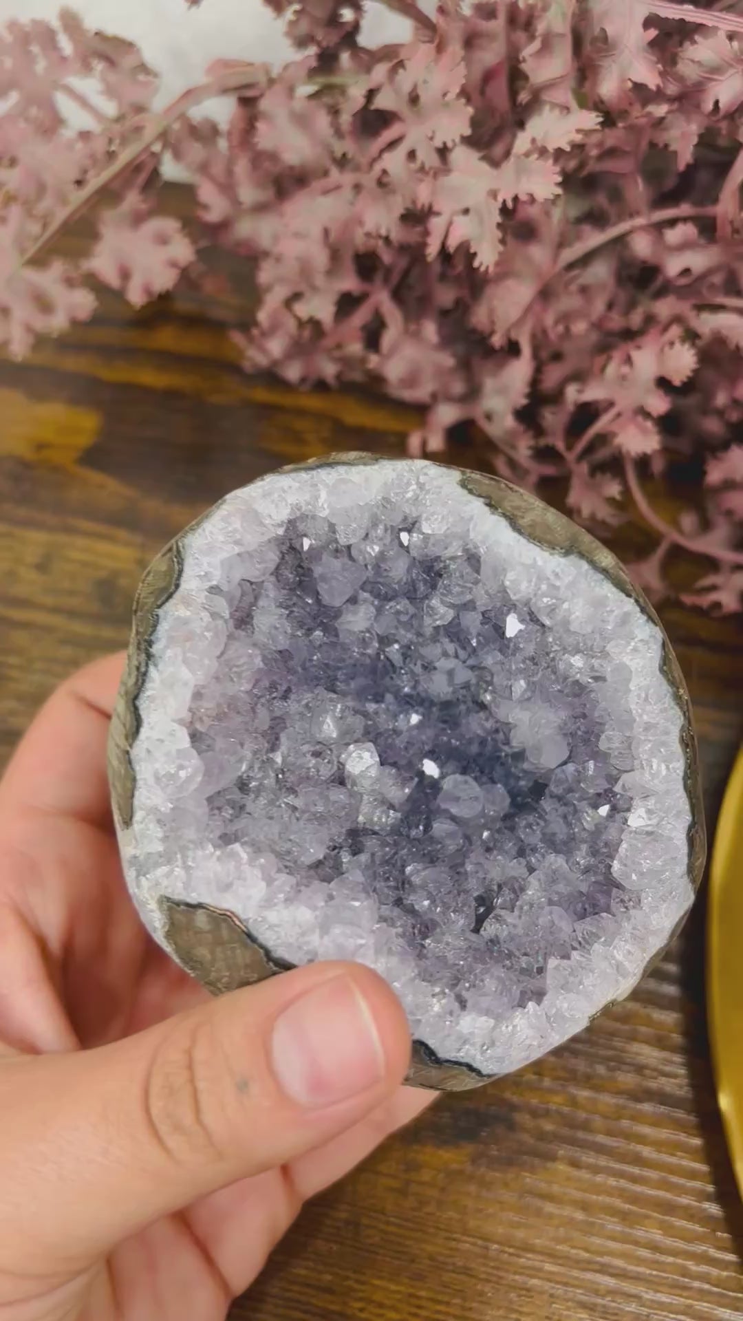 Geoda Amatista